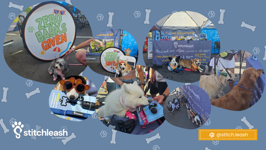 Recap: Day of the Dog San Diego 2025 - Sun, Surf, and Happy Tails