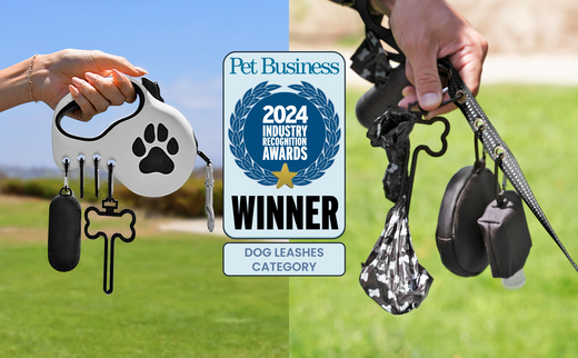 Award-Winning Innovation: StitchLeash 